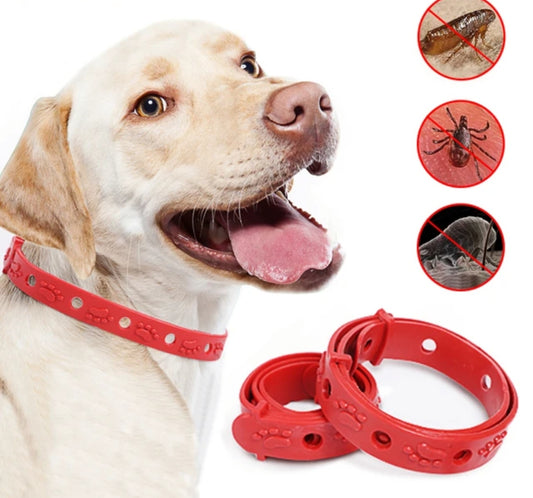 COLLAR ANTI PULGAS PARA MASCOTA